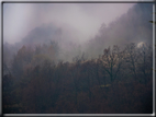 foto Colline di Romano d'Ezzelino nella Nebbia